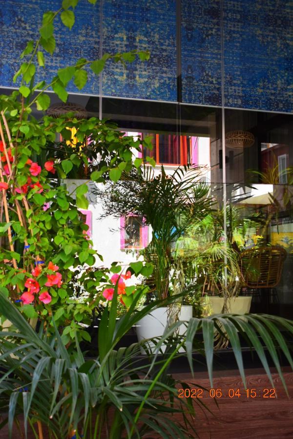 Shëngjin Carpe Diem Apartments-Hotel מראה חיצוני תמונה